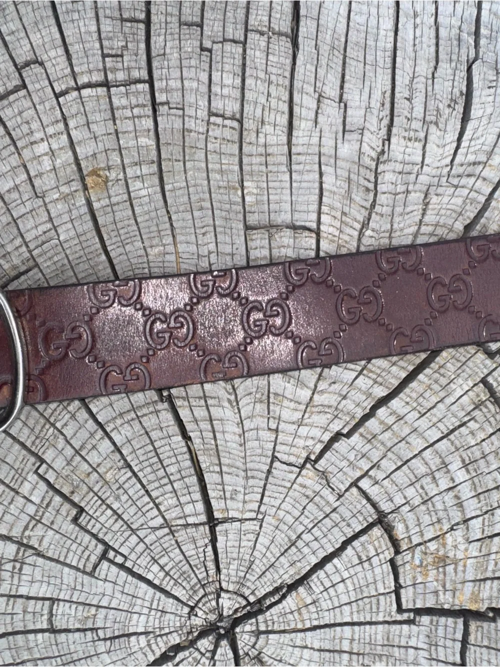 Gucci Brown Leather Belt with Silver-Tone Buckle